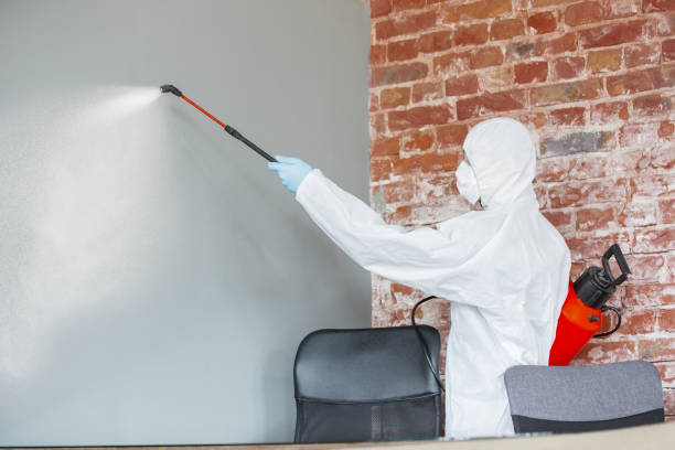 Best Post-Remediation Verification Testing  in Brownfields, LA