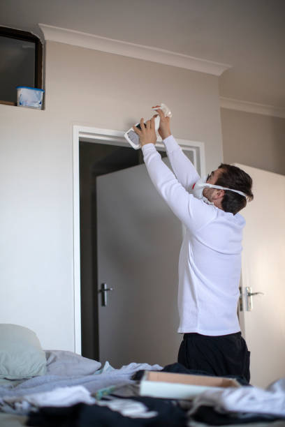 Best Attic Mold Removal  in Brownfields, LA