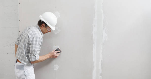 Trusted Brownfields, LA Mold Removal Experts
