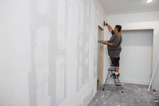 Best Emergency Mold Remediation  in Brownfields, LA