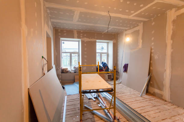 Best Black Mold Removal  in Brownfields, LA