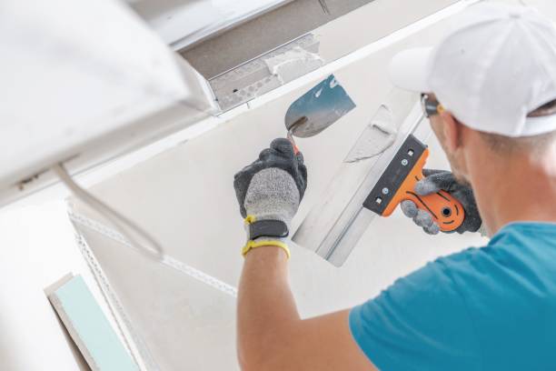 Best Industrial Mold Remediation  in Brownfields, LA